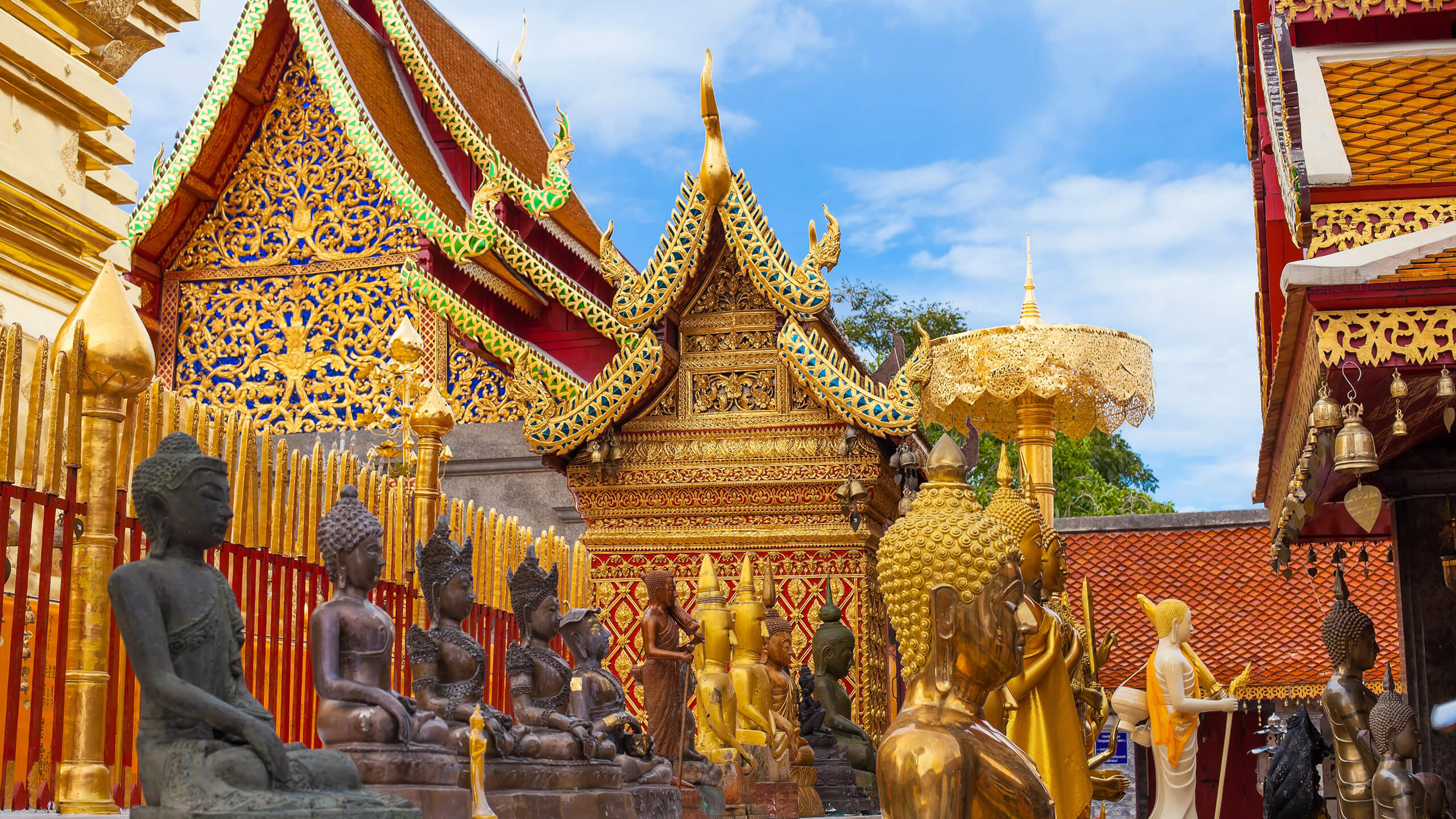 Nanny Service Chiang Mai Branch